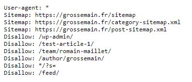 fichier robots.txt